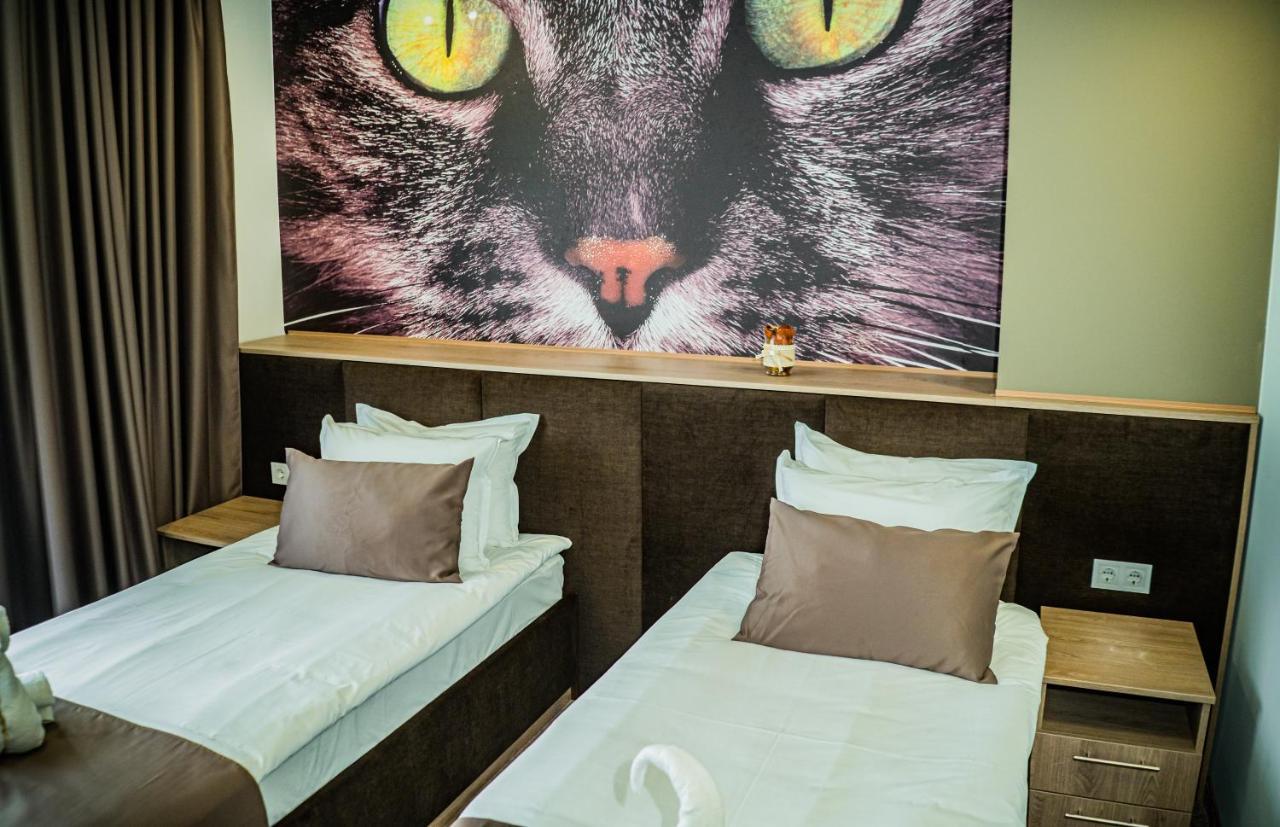 Impuls Hotel Vidin Exterior foto